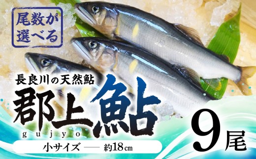 【尾数が選べる】郡上鮎 長良川の天然鮎 小サイズ(約18ｃｍ) 9尾/ 食品 魚介類 水産加工品 その他水産物 鮎 アユ 鮎 あゆ 川魚 郡上鮎 鮎 あゆ 川魚 郡上鮎 鮎 あゆ 川魚 郡上鮎 鮎 あゆ 川魚 郡上鮎 鮎 あゆ 川魚 郡上鮎 鮎 あゆ 川魚 郡上鮎 鮎 あゆ 川魚 郡上鮎 鮎 あゆ 川魚 郡上鮎 鮎 あゆ 川魚 郡上鮎 鮎 あゆ 川魚 郡上鮎 鮎 あゆ 川魚 郡上鮎 鮎 あゆ 川魚