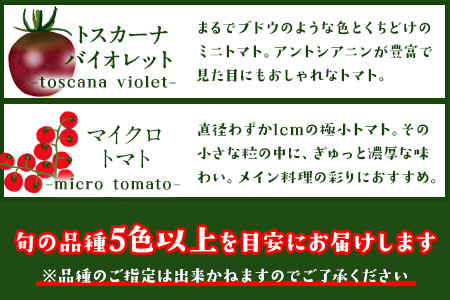 ミニトマト 宝石とまと 1.2kg 10種 トマト