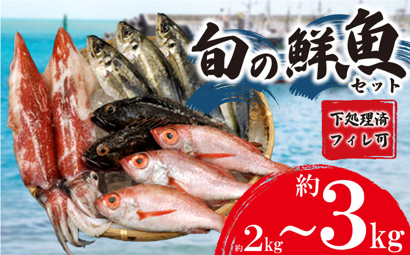 
旬 の 鮮魚 ボックス 約 2kg ~ 3kg フィレ可 800g ~ 1.2kg 刺身 切身 赤いか のどぐろ アジ 処理済み 詰め合わせ 天然 下処理 済み フィーレ 加工 簡単調理 切り身 おまかせ お楽しみ 魚 魚介 旬 春 夏 秋 冬 中元 歳暮 年末年始 下関 山口県
