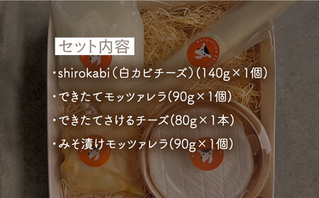 【5月発送】〈酪農家の手作り〉世界銅賞受賞！白カビ チーズ 入り チーズ 4種 セット【ナカシマファーム】 [NAJ011]チーズ ナカシマファーム チーズ 酪農家の手作りチーズ てづくりチーズ 人気