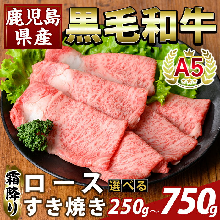 【ふるさと納税】＜選べる容量＞鹿児島県産A5等級黒毛和牛霜降りロースすき焼き(計250g〜750g) 牛肉 国産 鹿児島県産 ロース スライス 肉 精肉 小分け すきやき 【ふるさと産直バザール】
