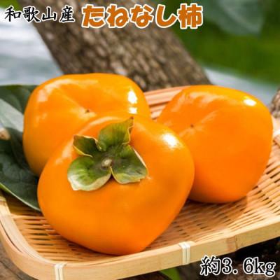 ふるさと納税 紀の川市 【秋の味覚】和歌山産のたねなし柿約3.6kg(L・2Lサイズおまかせ)
