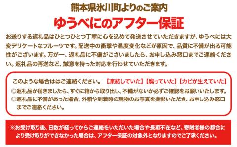 【数量限定】ゆうべに 約1,000g（約250g×4パック）いちご 苺 ゆうべに《3月出荷予定》---hkw_cjaybn_ac3_r8_10000_4p---