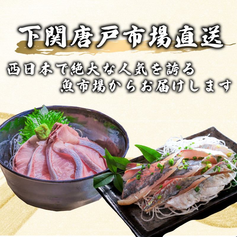 定期便 6回 唐戸市場直送 高級お刺身 各2人前 ( 定期便 高級 鮮魚 魚介 海 冷凍 小分け 定期便 お楽しみ 人気 刺身 刺し身 さしみ お手軽 解凍するだけ 地魚 産地直送 とらふぐ ふぐ ト