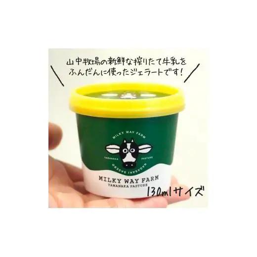 【大人気！】山中牧場〈MILKY WAY FARM〉ジェラート(12個) 搾りたて 生乳  アイス ミルク 牛乳 チョコレート 世知原茶 お茶 緑茶 ベルギーチョコレート 濃厚 新鮮 季節 アイスジェ