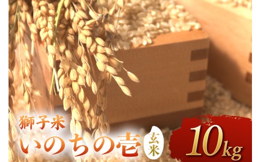 【令和8年産】獅子米 いのちの壱 玄米 10kg