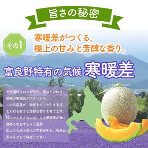 【2026年7月上旬～発送】※訳あり※ 富良野 メロン 2Lサイズ 約1.6kg【1玉】北海道 富良野市(スイートベジタブルファクトリー) 訳あり メロン フルーツ 果物 新鮮 甘い 道産 ジューシー