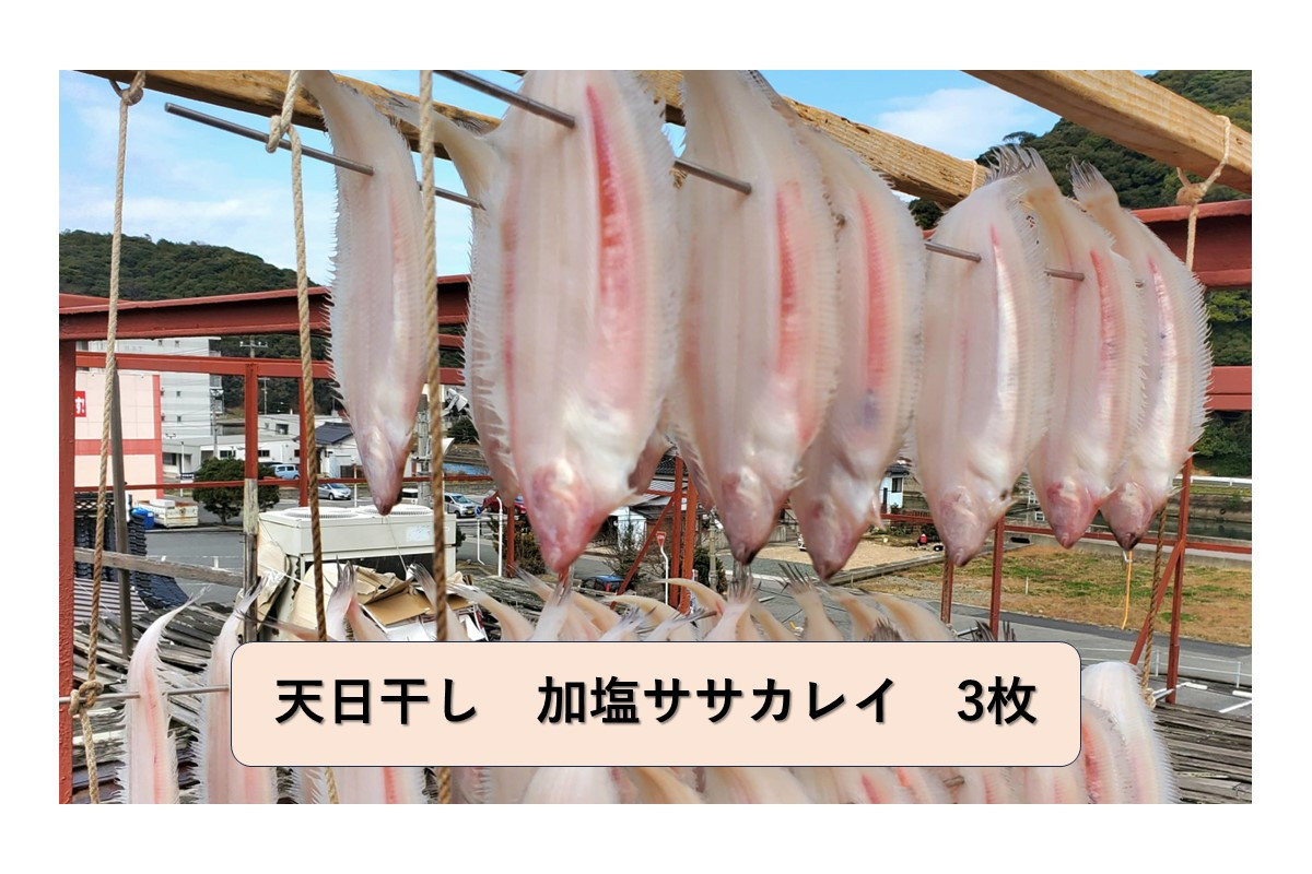 
            【スピード発送】日本酒おつまみ  天日干し　加塩ササカレイ　3枚　合計300ｇ以上 【1979】
          