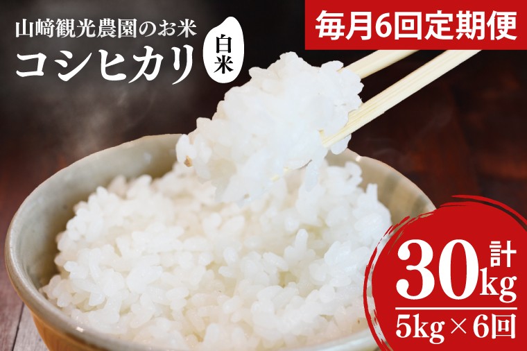 
                  ＼先行予約／【全6回定期便】＜毎月＞山﨑観光農園のお米　コシヒカリ　白米5kg｜栃木県 益子町 ふるさと納税 お米 米 白米 精米 5kg 定期便 （AU050）
                