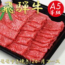 【ふるさと納税】AB-33 A5飛騨牛モモすき焼き用12か月コース