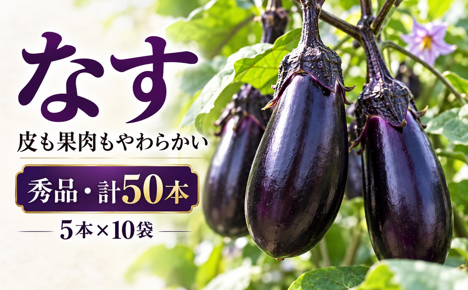 
                  高知県安芸市産ナス（秀M 5本入 10袋） なす 夏野菜 特産品 ハウス栽培 エコシステム栽培 環境配慮 福祉支援 自立支援 就労支援 障がい者支援 こうち絆ファーム 農業 和食 洋食 中華 料理 冷蔵保存 ラップ包装 みずみずしい 甘い 果肉 柔らかい 安芸市 高知県
                