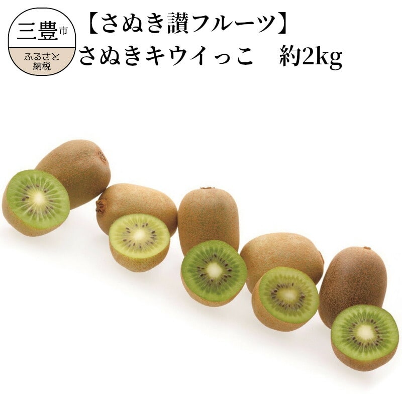 【さぬき讃フルーツ】さぬきキウイっこ 約2kg