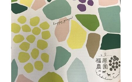 FF-45　【贈答用】　岡山のあま～い「シャインマスカット」約2kg（3～4房）