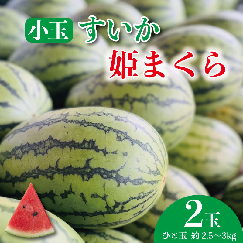 【ふるさと納税】 すいか 小玉スイカ 2玉 姫まくら 先行予約 期間限定 スイカ 西瓜 果物 くだもの フルーツ 産地直送 国産 人気 甘い ギフト 数量限定 贈り物 贈答 お中元 お取り寄せ プレゼント デザート 【7月中旬頃～8月上旬頃まで順次発送】 千葉県 銚子市 彦兵衛農園