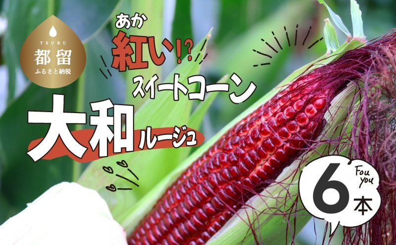 【ふるさと納税】【2026年先行予約】山梨県都留市産 紅いスイートコーン 大和ルージュ｜希少な赤いとうもろこし 甘い スイートコーン トウモロコシ 産地直送 送料無料【浅田農園】　GN002