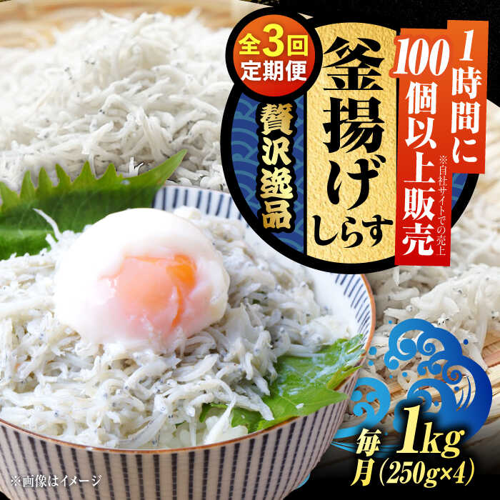 【ふるさと納税】【全3回定期便】鮮度抜群 ふわふわ 釜揚げしらす 1kg しらす 釜揚げ 冷凍 シラス 小分け パック 干し 魚介類 鮮魚 海鮮 海産物 セット 詰め合わせ ギフト 広島県産 人気 送料無料 江田島/三島水産株式会社[XCN008]