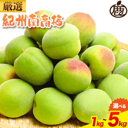 【ふるさと納税】厳選 紀州南高梅 選べる 1kg 2kg 5kg 傷み補償 梅干し 梅酒 梅ジュース 池田鹿蔵農園《6月上旬-6月末頃出荷予定》和歌山県 日高町 南高梅 完熟 青梅 送料無料【配送不可地域あり】