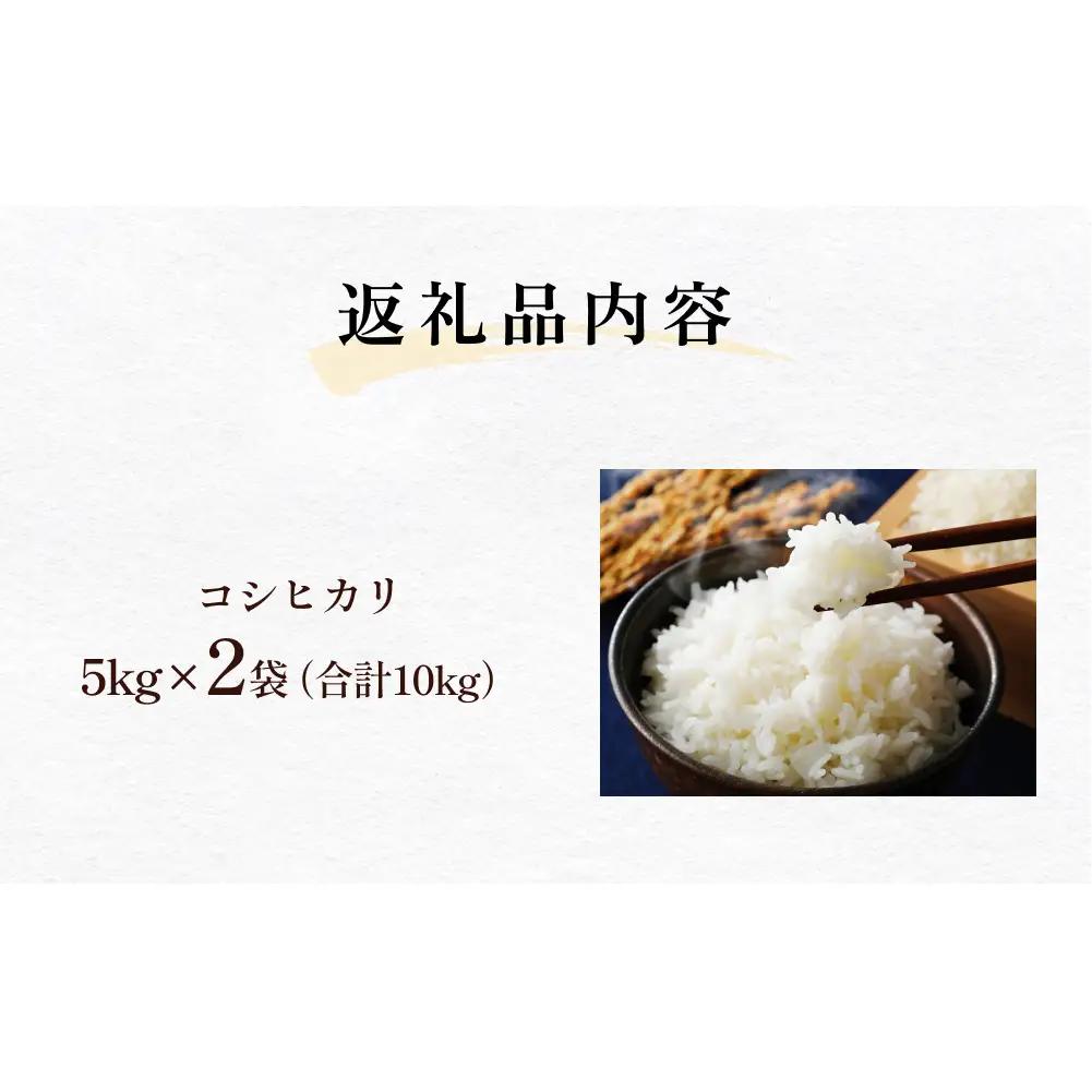 富山県産 コシヒカリ 10kg 精米 