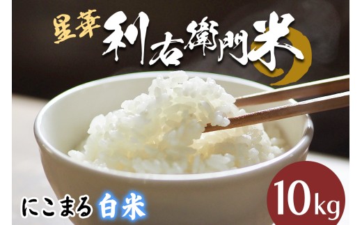 星華 利右衛門米 にこまる 白米 10kg｜米 こめ コメ ごはん ご飯 [0300]