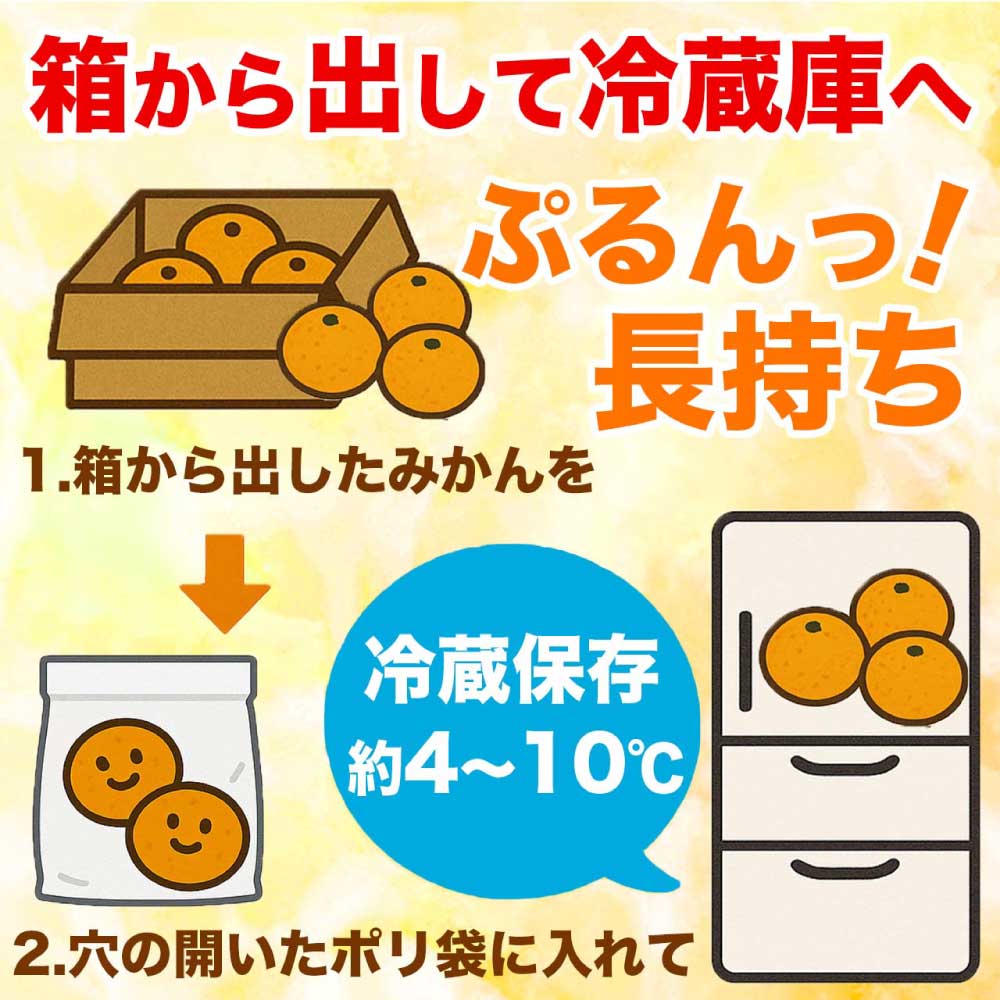 先行予約 温州みかん 約3kg (2S〜2L）【2026年10月上旬〜2027年2月下旬発送予定】みかん ミカン フルーツ 果物 柑橘 かんきつ 蜜柑 うんしゅうみかん ウンシュウミカン 熊本県 熊本