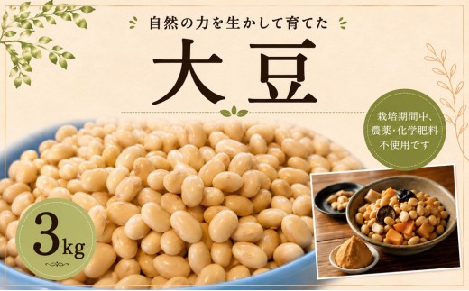 豆 大豆  3kg だいず 栄養 タンパク質 鉄分 食物繊維 カルシウム 朝食 栄養豊富 葉酸 産地直送 味噌作り 豆腐作り 味噌汁 まめ daizu mame 新鮮 たべる ほくほく和食 洋食 五目豆 煮豆 サラダ 美味しい 加熱 こだわり 料理 自家栽培 ベジタブル 菓子うつろひ 千葉 東金