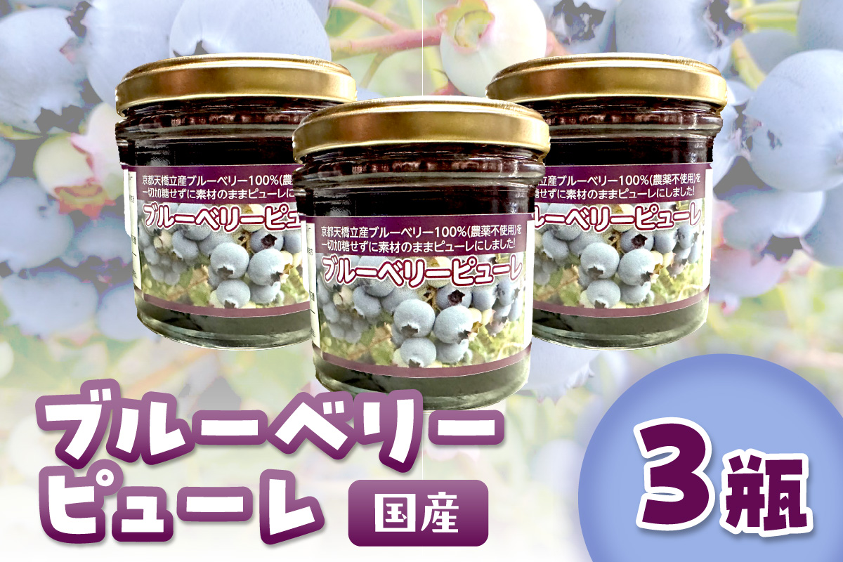 国産ブルーベリーピューレ　中農薬不使用（3瓶）