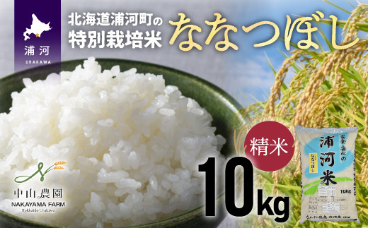 
【令和5年産】浦河の特別栽培米「ななつぼし」精米(10kg×1袋)[37-1026]
