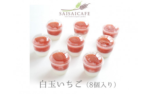 SAISAICAFE　白玉いちご（８個入り）【VA00760】