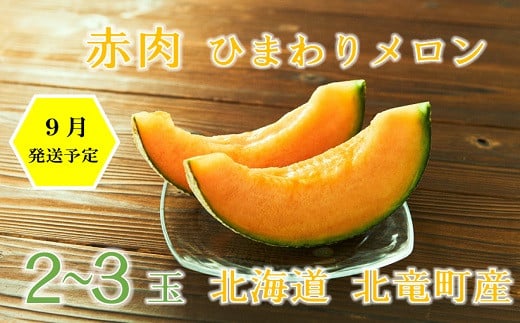 【先行予約】【令和6年産】北海道北竜町産ひまわりメロン（赤肉）２～３玉×1箱【国産メロン 北海道産 メロン めろん 果物 くだもの フルーツ デザート】