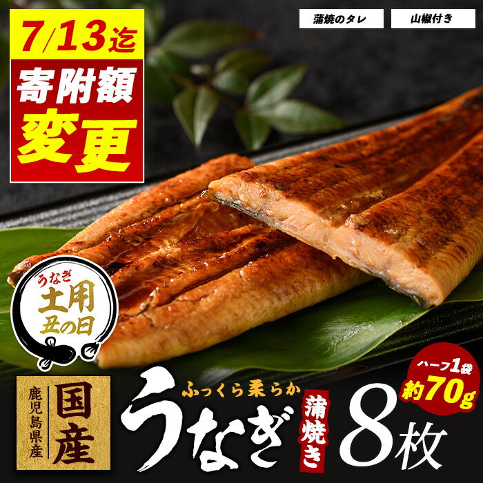 【ふるさと納税】＼7/13までご愛顧感謝 31,000円→29,000円！／【丑の日ギフト】7/9〜19までにお届け！(お申込みは7/13まで)【鹿児島県産】うなぎ蒲焼じっくり焼きハーフカット約70g×8枚 化粧箱入り 鰻 ウナギ 蒲焼 国産 丑の日 うな重 ギフト プレゼント 【大新】