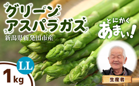 【とにかく甘い！】 グリーンアスパラガス LLサイズ 1kg アスパラ 甘い 太い 柔らかい 新潟 新発田 朝採り 新鮮 野菜 アスパラガス グリーンタワー 春野菜 特産品 旬 肉 巻き 朝採れ 産地直送 農家 菅谷 新潟県 新発田市 蔵光グリーンファーム kuramitsu003
