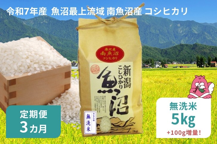 
            令和7年産 5kg 【3か月定期便】〈無洗米〉魚沼最上流域 南魚沼産 コシヒカリ 精米したてのお米をお届け 【湯沢産 コシヒカリ】
          