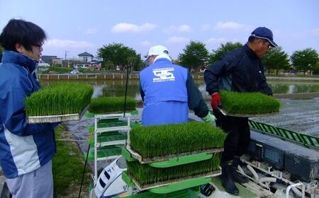 定期便 3ヵ月 コシヒカリ「極」10kg×3ヶ月 特別栽培米 こしひかり こしひかり定期便 お米の定期便 計30kg (コシヒカリ5kg×6個)  白米3か月 新潟県産 特別栽培米 特栽米 精米 お米