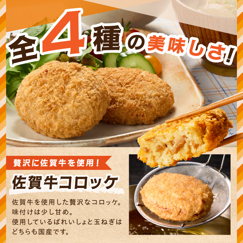 佐賀県産バラエティーセット2200g 125-J809