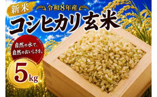 令和8年産 玄米 コシヒカリ 5kg 新米 米 お米 数量限定 ご飯 ごはん コメ 白米 ライス げんまい こしひかり 先行予約 2026年産 R8産 玄米5kg 玄米30キロ 米5kg 5キロ 銘柄米 茨城県 筑西市新生活 応援 kome okome 茨城県産 国産 産地直送 ※ 関東 茨城 筑西