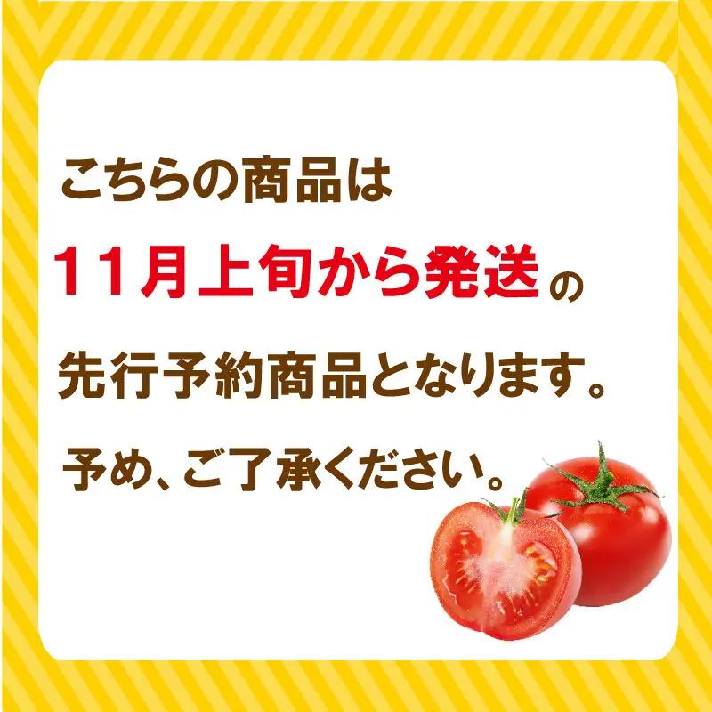 フルーツトマト トマト 300g×3袋 ピューレ 1本 セット