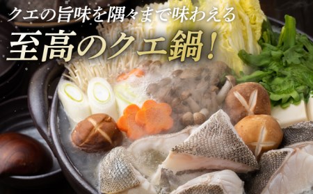 幻の魚 クエ 鍋 セット 400g [WAD014] クエ クエ鍋 海鮮 クエ 高級 クエ鍋 クエ