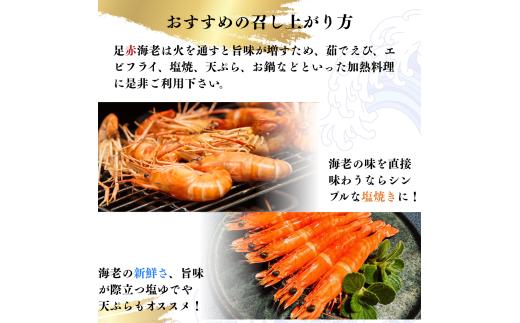 【活き〆】冷凍 足赤えび 500g 