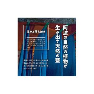 扇子 阿波藍染 徳島伝統工芸 【蝶】