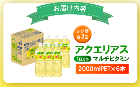 【定期便：全3回】アクエリアス 1日分のマルチビタミン　2LPET×6本【380087】