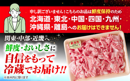 【12回定期便】 ※冷蔵配送/地域限定※ 飛騨牛 小間切 (大) 500g×2セット 瑞浪市 / きなぁた瑞浪 和牛 国産 岐阜県産[AZCI073]