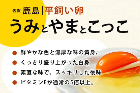 【定期便 6回】平飼い卵「うみとやまとこっこ」上田養鶏場 たまご20個 × 6ヶ月【合計120個】佐賀県鹿島産 卵 タマゴ E-129