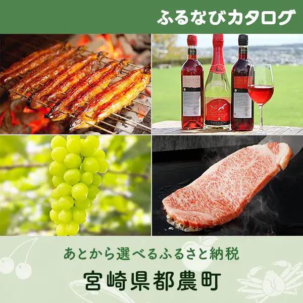 【有効期限なし！後からゆっくり特産品を選べる】宮崎県都農町カタログポイント