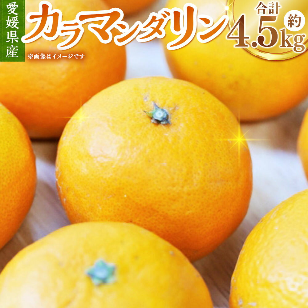 【ふるさと納税】 カラマンダリン 約4.5kg 3L～M みかん ミカン 蜜柑 柑橘 かんきつ フルーツ くだもの 果物 果実 デザート 愛媛県産 国産 愛媛県 送料無料 【2027年4月上旬～5月上旬発送予定】（1128）