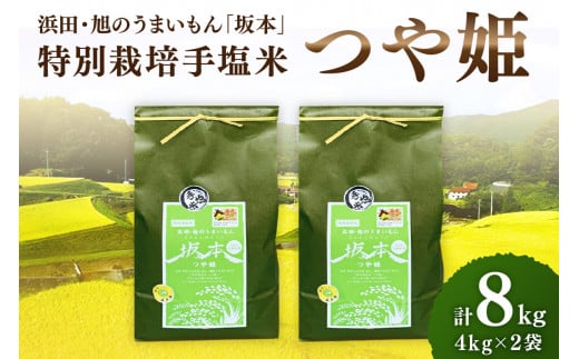 【令和6年産】浜田・旭のうまいもん「坂本」特別栽培手塩米つや姫　4kg×2袋 【1038】