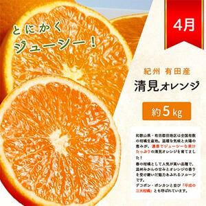 【発送月固定定期便】紀州和歌山産旬の柑橘セット(みかん・不知火・清見)全3回【4011934】