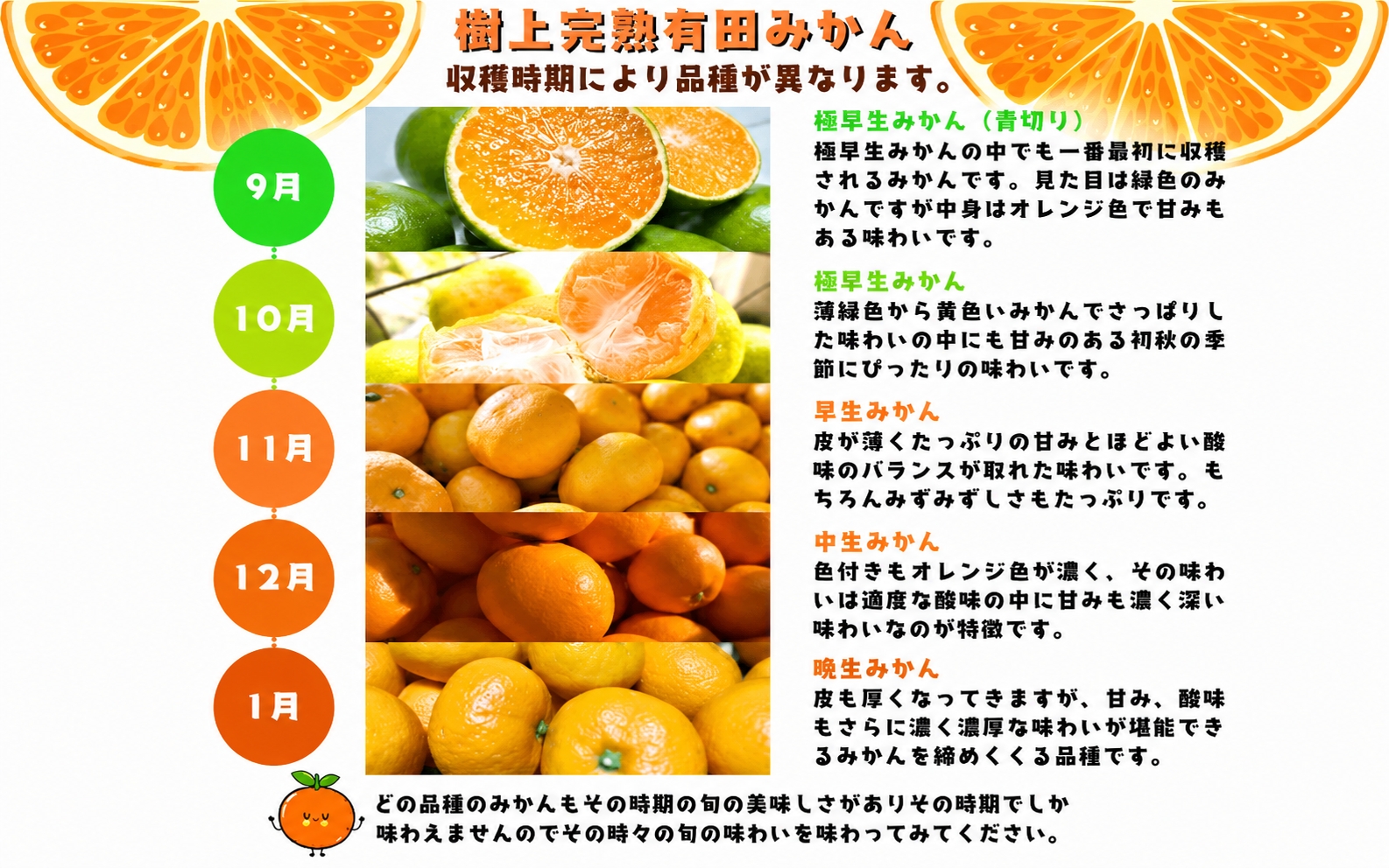 【2026年9月中旬～10月上旬頃に順次発送予定】有田育ちの完熟有田みかん 家庭用 サイズ混合(2S～2L)　約10.2kg(10kg+200g)【ard197-09】