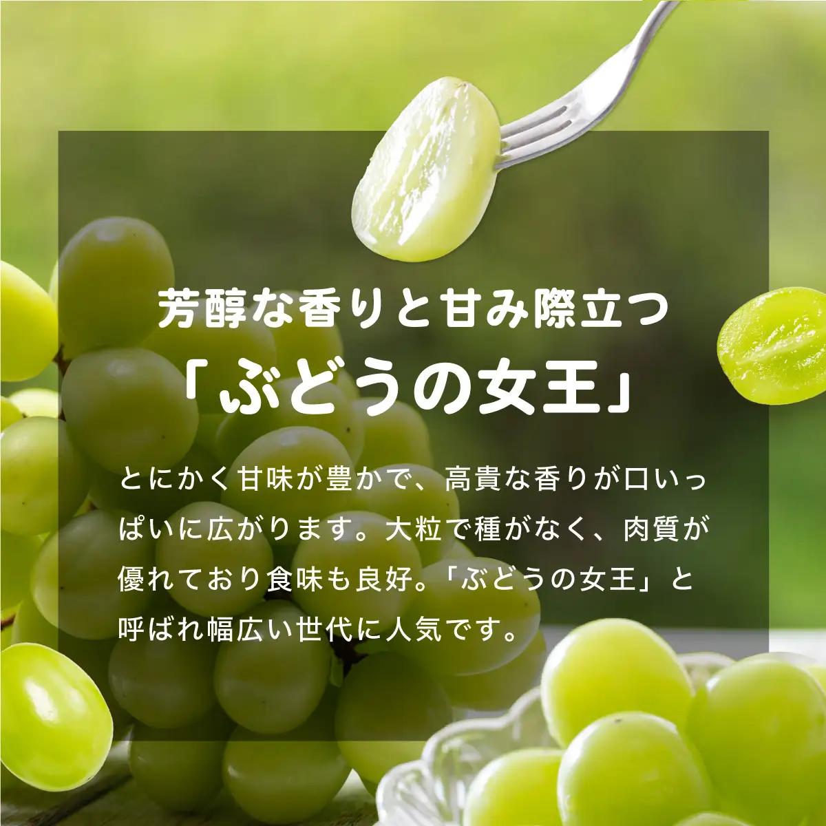 シャインマスカット ふくぷる 500g [003-a003] 