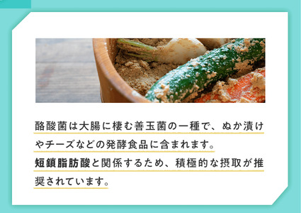 ＜定期便＞TVで話題！ グアーガム分解物 生きて腸内まで届く 酪酸菌 水溶性食物繊維 サンファイバープラス【スティック】6ｇ×30包 【2箱セット定期便6ヶ月】【発酵性食物繊維 食物繊維 シンバイオテ