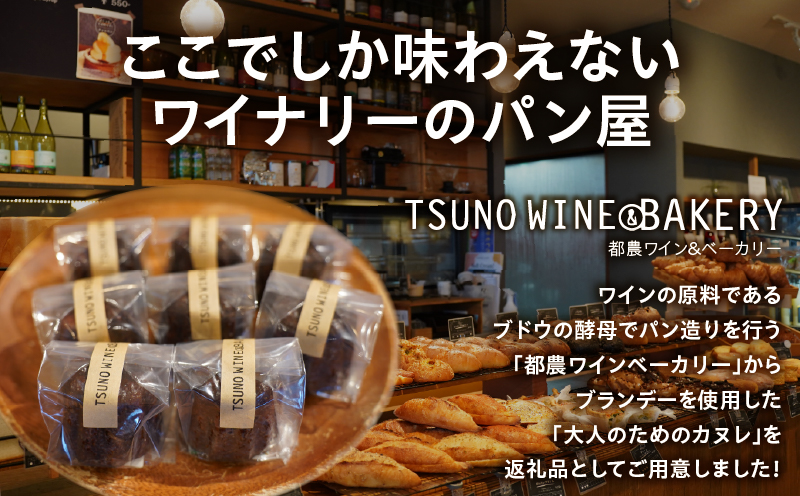TSUNOWINE＆BAKERY カヌレ6個セット_T053-003【パン 菓子パン トースト 国産 人気 ギフト 食品 パン 自家製 簡単調理 お土産 贈り物 送料無料 プレゼント】